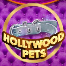 Hollywood Pets