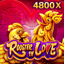 Rooster in Love