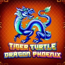 "Tiger,Turtle,Dragon,Phoenix"